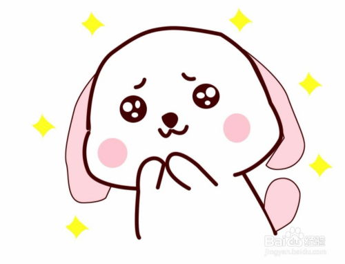 聚焦寵物健康 探秘“ps可憐小肥狗”背后的應用軟件服務