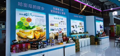 2023中國亞歐商品貿(mào)易博覽會(huì)盛大開幕 多元展品搶先看